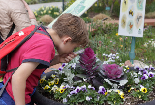 Child examines flowers with magnifying glass. 