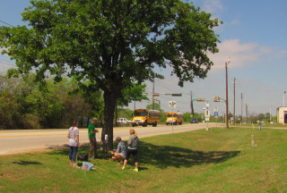 A team of researchers gather around a tree by a roadway. 