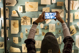 The Past Worlds exhibit at NHMU.