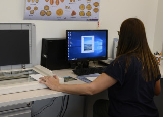 Volunteer transcribing at a computer