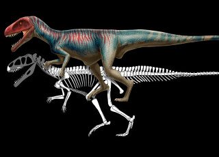 Illustration of Poposaurus gracilis