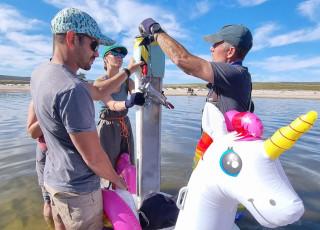 Scientists use a corer in a body of water, supported by an inflatable unicorn.