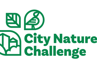 City Nature Challenge text logo