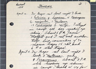 Excerpt from a field journal. Author Stephen Durrant (1933-1953)