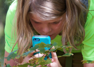 Photo of a child taking a picture of a plant.