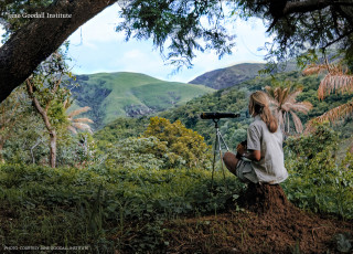 Back to camera, Jane sits with a telescope observing a jungle landscape. 