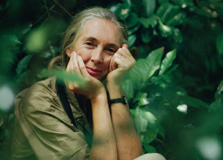 A portrait of Jane sitting in the jungle. 
