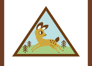 Eco Friend Girl Scout Badge