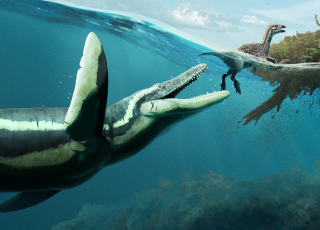 DinoFest 2025 Theme Underwater Worlds Banner