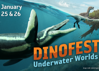 DinoFest 2025 Theme Underwater Worlds