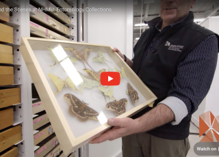 A man holds a display case of insects. 