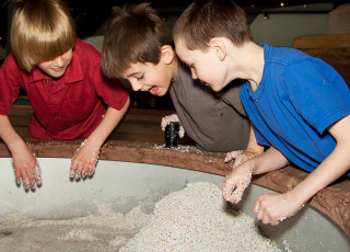 kids at nhmu