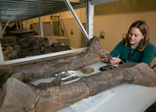 Carrie Levitt-Bussian with Fossils