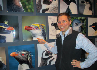 Daniel Ksepka with Penguins