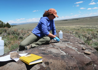 A research scribe a rock in a field of sage. 