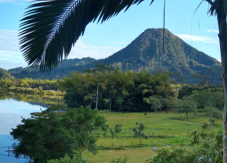 Image of Laguna-Marr de San Diego, a Tropical Rain Forest