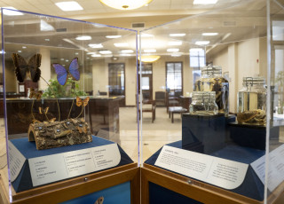 Insect and Mammals case at the Traveling Treasures installation.