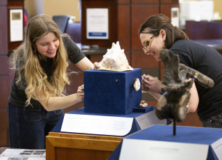 Layne Sermersheim and Katie Vitti installing the Shells case at a Traveling Treasures move.