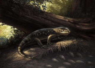 Artistic reconstruction of Bolg amondol