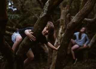 kid climbing a tree