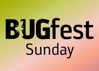 FINAL BugFest 2025 2x3 Sunday