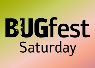 FINAL BugFest 2025 2x3 Saturday