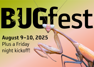 FINAL BugFest 2025 2x3