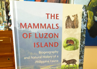 A sign showing the cover of the book Mammals of Luzon Island.
