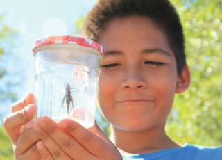 This is an image of a child holding a bug in the jar.