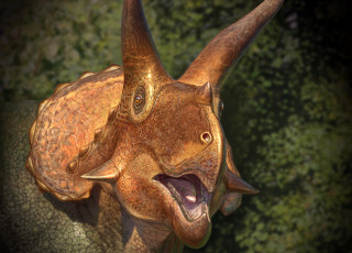 This is an artistic depiction of a triceratops