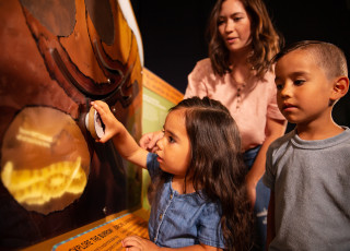 Guests interact with an element inside the Wild World exhibit at NHMU.