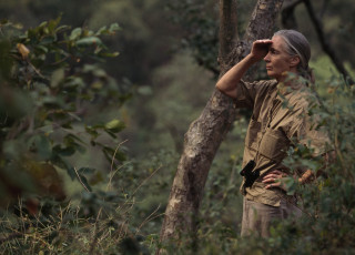 Dr. Jane Goodall shields her eyes as she looks around the Gombe National Park