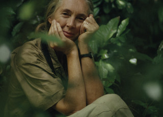 Dr. Jane Goodall sits Gombe National Park 