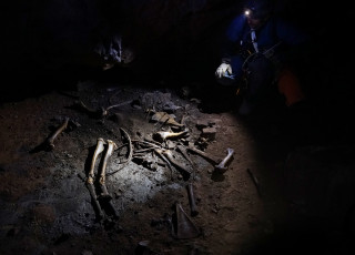 Bones of an animal are illuminated by a flashlight inside a dark cave. 