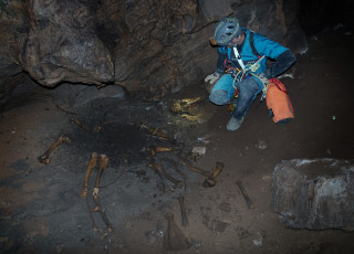 A scientist kneels to examine bones of an animal that perished inside a cave in Utah. 