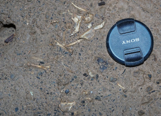 A lens cap next to small bones on the floor of a cave. 