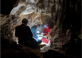 NHMU researchers and a volunteer caver examine bones on the floor of a cave. 