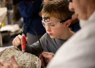 a child working on a fossil
