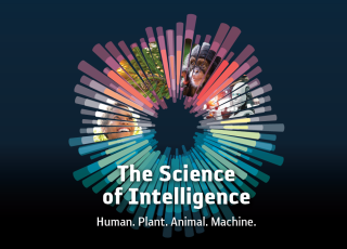 A blue graphic shows a person, tree, chimpanzee, and robot