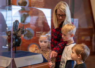 A woman and three children look at a fossilized Allosaurus vertebrae in a glass case
