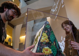 A man and a woman hold a glass case with a cactus display inside