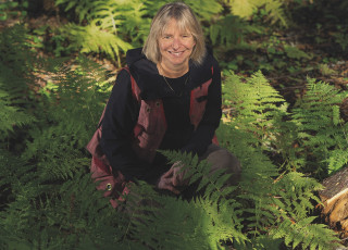 A woman sits in a black shirt and red vest among green ferns in the forest