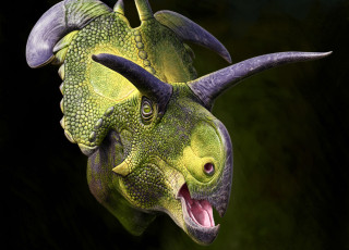 A large rendering of a ceratopsian dinosaur head with grey horns and green skin against black background