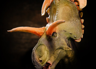 A rendering of a large ceratopsian dinosaur with orange horns and green skin