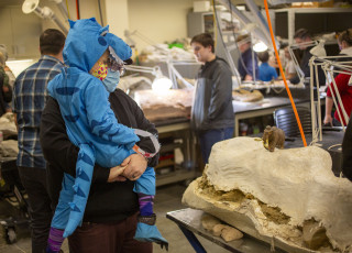 A young person wearing a blue dinosaur costume being held by an adult looking at a fossil casing  