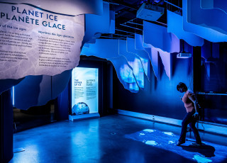 A large room with blue lights and ice berg displays. A person walks through the room. 