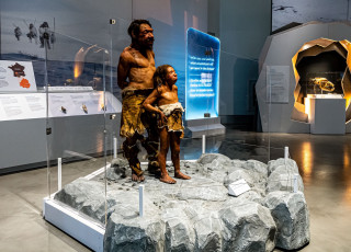 A re-creation display of an adult and child neanderthals