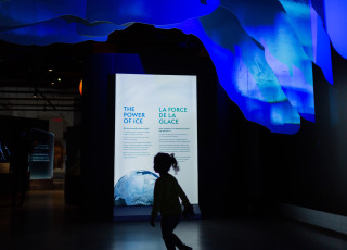 The silhouette of a child in front of a back lit ice display