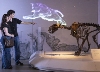 2 people stand before an American lion skeleton