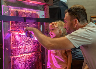 A man and child look into an illuminated behive